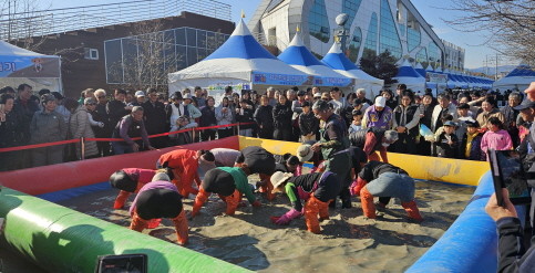 보성군은 청정 갯벌에서 관광객들이 ''황금꼬막을 잡아라'를 하고 있다. ⓒ보성군