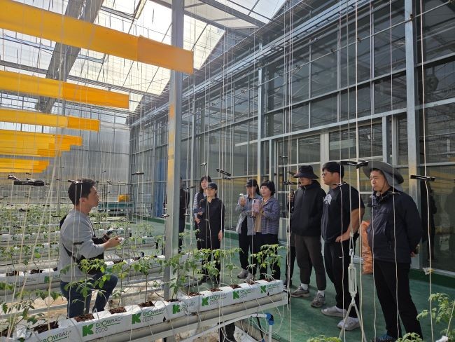 봉화군 내년 1월 봉성면 창평리 임대형 스마트팜단지 입주를 앞두고 딸기팀 9명과 토마토팀 9명 등 18명을 대상으로 마지막 실습교육에 박차를 가하고 있다. ⓒ 봉화군