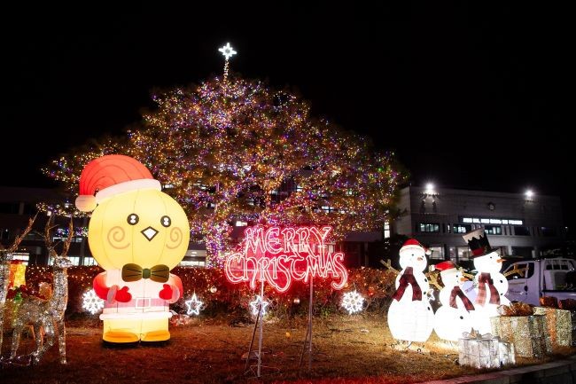 시청 원형화단에 설치된 크리스마스 트리 전경. ⓒ 구미시