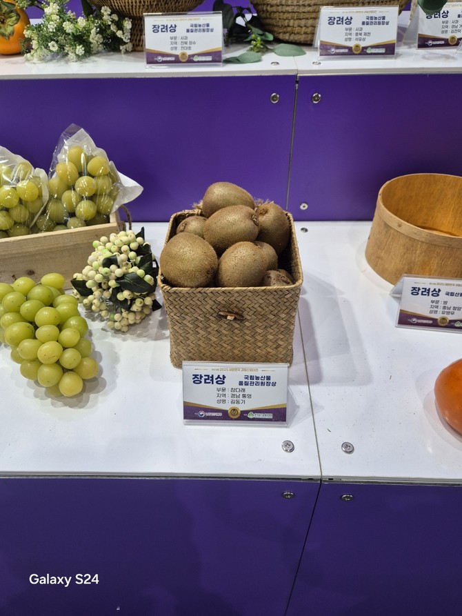 농림축산식품부가 주최하고 한국과수농협연합회가 주관한 2025 대한민국 대표과일 선발대회에서 장려상을 수상한 통영시 김동기 농가 참다래 사진. ⓒ 통영시