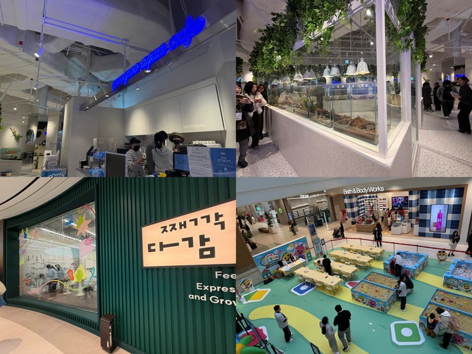 (왼쪽 상단부터 시계 방향으로)다양한 해양 생물과 파충류를 관찰할 수 있는 도심 속 아쿠아리움 카페 '어푸어푸', 1층에 마련된 '핑크퐁 팝업 놀이터', 오감형 놀이·키즈클래스 '째깍다감' 입구 모습. = 이인영 기자