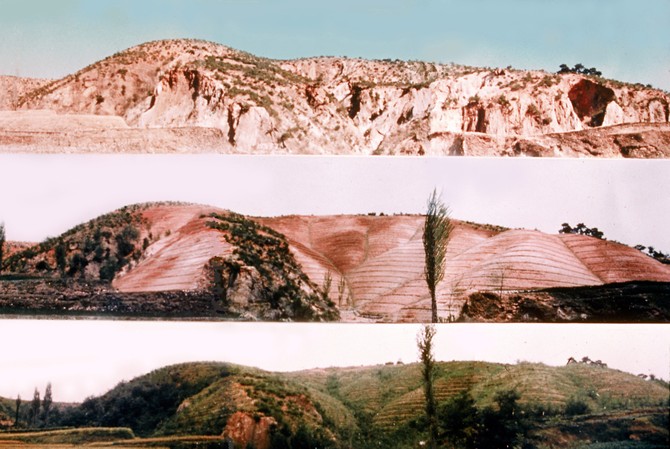 포항 영일만 지구 산림녹화기록물 대표 이미지. ⓒ 산림청