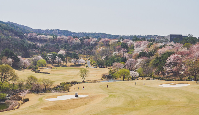 GOLF는 국내 골프장 예약 서비스를 통해 다양한 지역 골프장 정보를 제공하고 있다. ⓒ XGOLF
