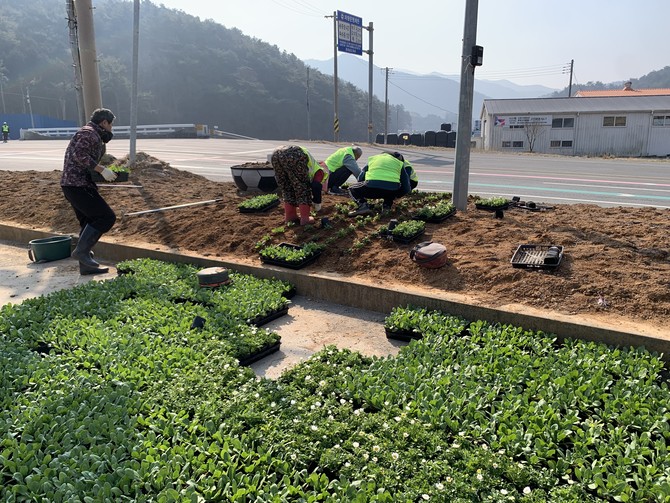 봄꽃 84100본으로 '꽃피는 남해'를 조성하고 있는 사진. ⓒ 남해군