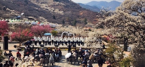 제25회 광양매화축제 행사 공연모습. ⓒ 광양시