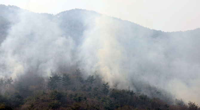 산불감시카메라가 제 역할을 못하고 있는 것으로 조사됐다. ⓒ 연합뉴스