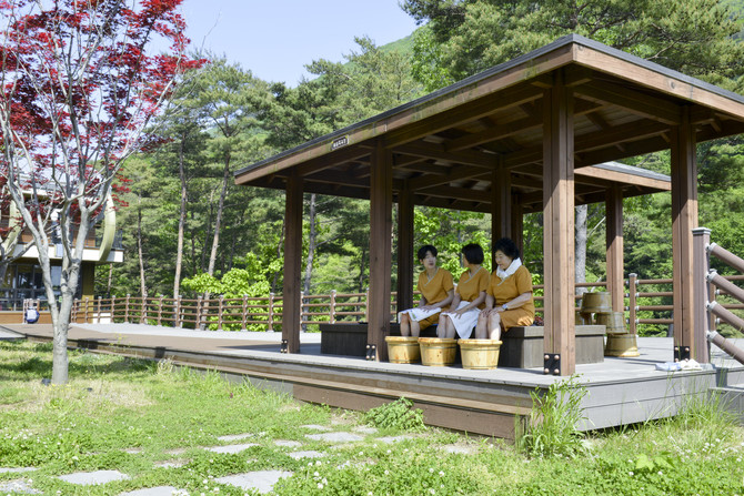 2020년 선정 이후 '2026 우수웰니스 관광지'에 연속 선정된 합천 오도산 치유의 숲 전경. ⓒ 합천군