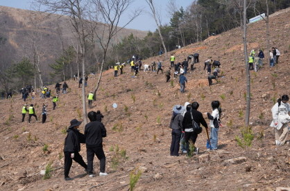 전라남도는 24일 여수 묘도 산업단지 주변 소나무재선충병 피해지 일원에서 제81회 식목일을 기념하고 건강한 숲 복원을 위한 나무심기 행사를 가졌다. ⓒ 전남도