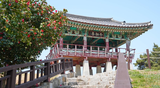 마량리 동백나무숲 활용사업 본격화. ⓒ 서천군