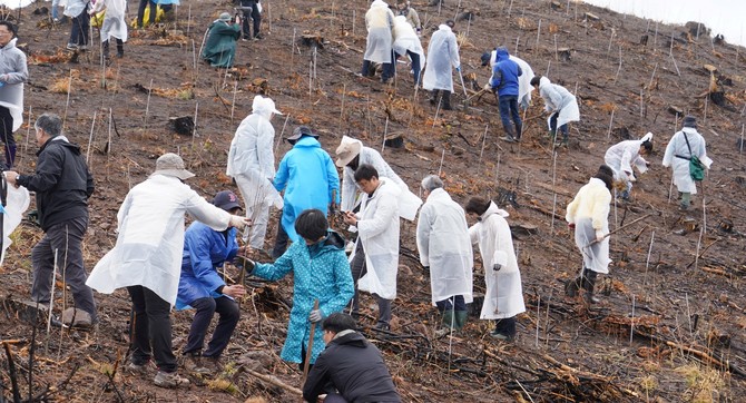 산림청은 4일 경상북도 안동시 산불피해지에 평화의 숲과 함께 산초나무와 산벚나무 등을 심으며 복원에 힘을 보탰다. ⓒ 산림청