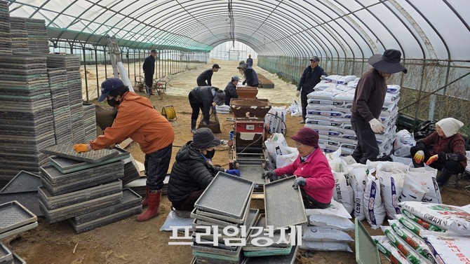 12일 풍세면 두남1리 벼 파종 현장 모습. ⓒ 프라임경제