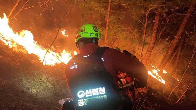 산불진화에 총력을 기울이고 있는 산림청 공중진화대원 모습. ⓒ 산림청