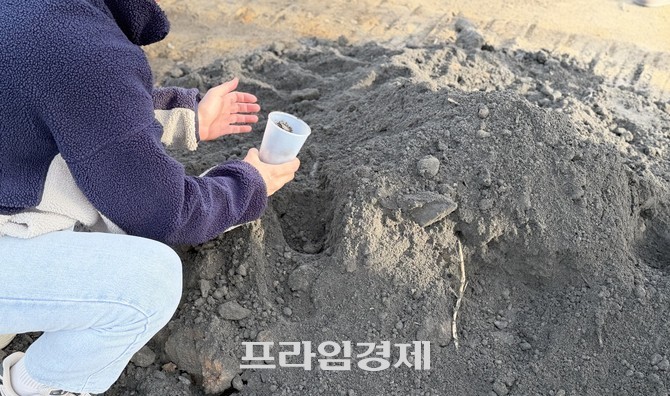 지난 22일 충남 보령시 내항동 석탄재 성토 현장에서 보령시청 관계자가 토양오염도 확인을 위한 시료 채취를 진행하고 있다. ⓒ 프라임경제