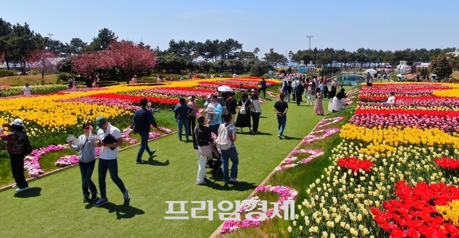 지난 25일 개막한 '2026 태안국제원예치유박람회'에서 관람객들이 꽃지해수욕장 일원에 조성된 정원을 거닐며 봄꽃과 바다 풍경을 동시에 즐기고 있다. = 오영태 기자