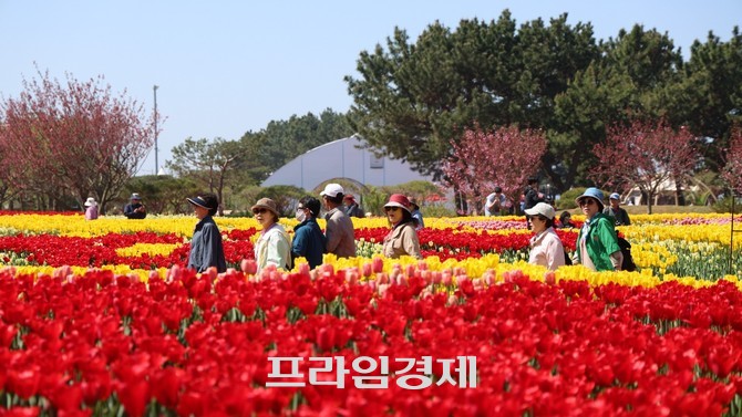 '2026 태안국제원예치유박람회' 개막일인 25일 관람객들이 형형색색의 꽃과 조형물이 어우러진 박람회장을 배경으로 추억을 남기고 있다. = 오영태 기자