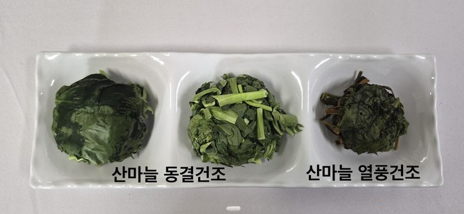 고성군이 지역 농산물의 부가가치를 높이고 농가 소득을 증대하기 위해 수요자 중심의 농가공품 개발한 '건조 산마늘 제품' 사진. ⓒ 고성군