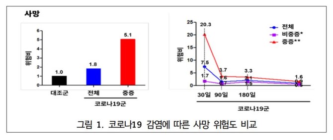 코로나19 감염에 따른 사망 위험도 비교. © 질병관리청질