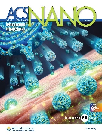 차세대 나노 화장품 전달체 기술 개발 ACS Nano 5월호 표지 이미지. ⓒ 아모레퍼시픽