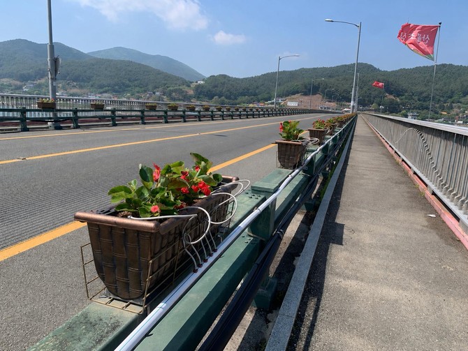 산림공원과가 창선면 지족교의 난간 걸이화분에 '베고니아 메가와트' 1080본을 식재한 사진. ⓒ 남해군
