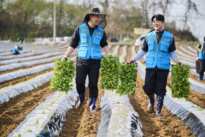 KT&G 임직원 봉사단이 지난달 15일 충청북도 진천군에 위치한 잎담배 농가에서 모종이식 봉사활동을 진행하는 모습. ⓒ KT&G