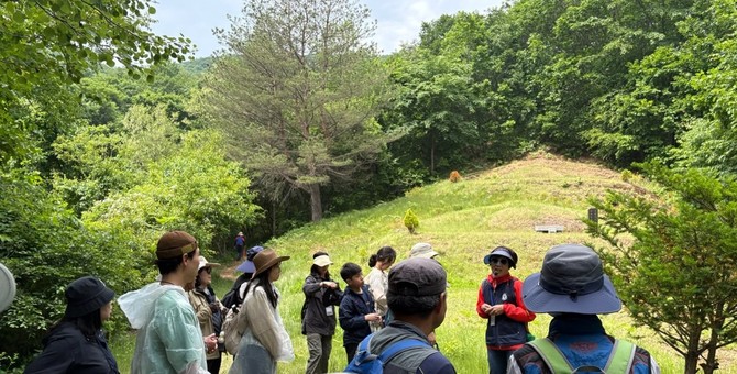 2025년 비무장지대 펀치볼둘레길에서 ‘감자꽃 & 숲길 걷기’ 행사를 진행하고 있는 모습. ⓒ 산림청