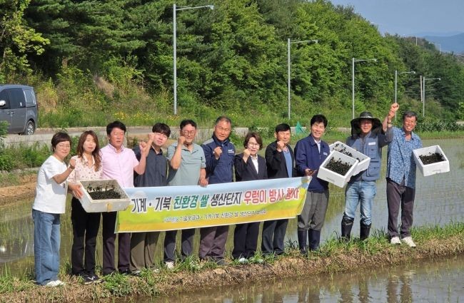 포항시 농업기술센터는 고품질 친환경 쌀 생산을 위해 10일 북구 기계면 내단리에서 우렁이 방사 행사를 추진했다. ⓒ 포항시