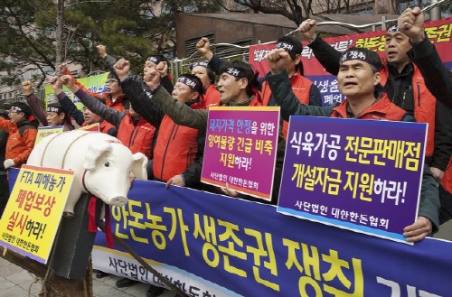  한돈협회가 1일 기자회견을 열고 정부에 생존권 보장을 요구하며 농성에 돌입했다. ⓒ 대한한돈협회