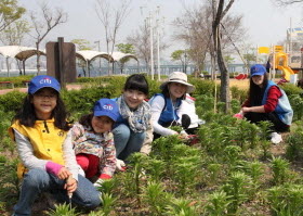  한국씨티은행 임직원과 가족들이 한강공원에서 4일 환경가꾸기 봉사를 진행하고 있다. ⓒ 한국씨티은행