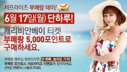  아웃백이 부메랑 회원을 대상으로 5000포인트로 워터파크 입장권을 구매할 수 있는 기회를 제공한다. ⓒ 아웃백