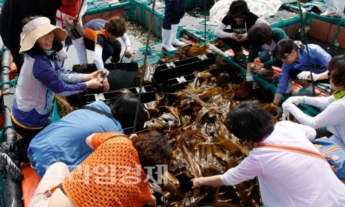  광주시 학교급식 영양사회 회원들이 완도읍 망남리 전복양식장을 방문해 전복 양식과정을 지켜봤다. =완도군 제공.