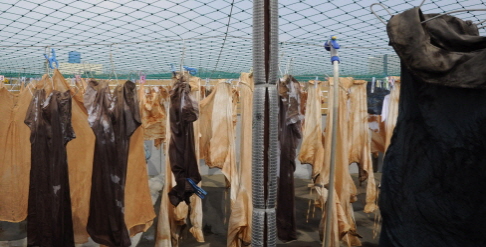  시간을 들일수록 다른 빛깔이 나고, 어떻게 손질하는가에 따라서 무늬가 바뀐다. 전통천연염색제품의 멋을 살리는 대구경북천연염색협동조합을 찾아 조합을 결성해 한국의 미를 지키고 발전시키는 과정을 들어봤다. ⓒ 프라임경제