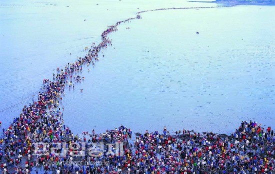 바다갈라짐 현상의 백미로 꼽히는 전남 진도군 모도 축제현장. ⓒ 프라임경제