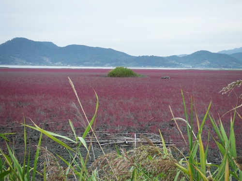 ⓒ 전남 순천시