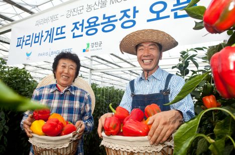  농민들이 파리바게뜨 전용 농장에서 수확한 파프리카를 들어 보이고 있다. ⓒ 파리크라상