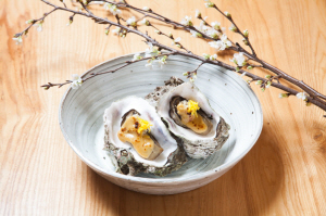  더 플라자 무라사키 강굴 특선. ⓒ 더 플라자