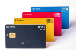  KB카드의 훈민정음카드는 전통 색 '오방색'을 활용, 상품별 보조 수식어 결합을 통해 경쟁사와 상품 및 브랜드 차별화를 시도했다. ⓒKB국민카드