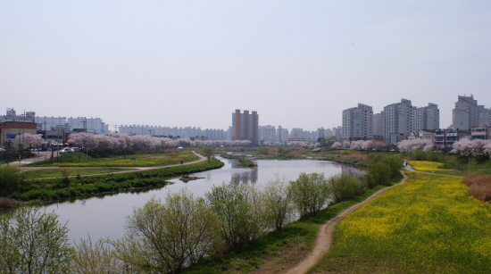  광암교 인근 꽃길 사진 ⓒ광주광역시