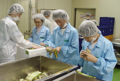  사회적기업 '나눔공동체'의 직원들이 새싹 상품 포장 작업을 진행하고 있다. ⓒ 롯데마트