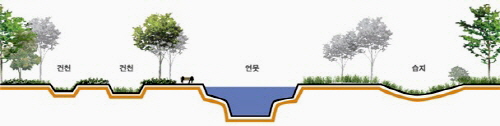  도시공원 내 저류시설 모델유형 중 생태형 공원 개념도. ⓒ 국토교통부