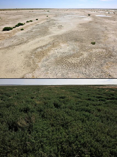  현대차는 '생태복원(Recovery of Nature)'이라는 슬로건을 바탕으로 진행하고 있는 그린무브를 통해 현대그린존 및 제네시스 숲 프로젝트 등 다양한 환경보존 사업을 진행해오고 있다. ⓒ 현대자동차