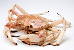  골든크랩. ⓒ 롯데마트