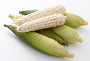  찰옥수수. ⓒ 롯데마트