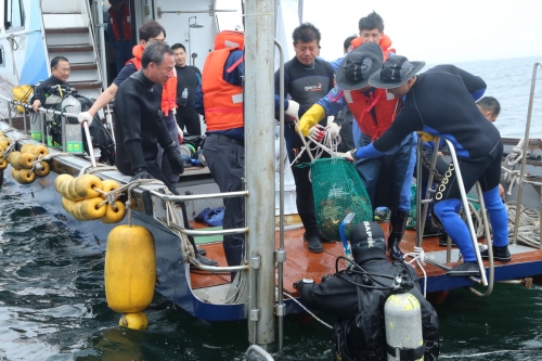  포스코 봉사단원들이 포항 발산1리 인근 해역에서 수거한 불가사리, 폐기물 등을 옮기고 있다. ⓒ 포스코