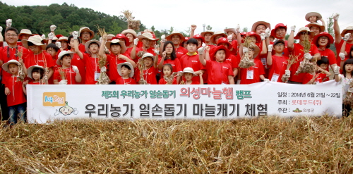  롯데푸드가 경북 의성에서 개최한 의성마늘햄캠프에 참가 마늘값 폭락으로 어려움을 겪는 농가를 돕기 위해 마늘 수확에 힘을 보냈다. ⓒ 롯데푸드