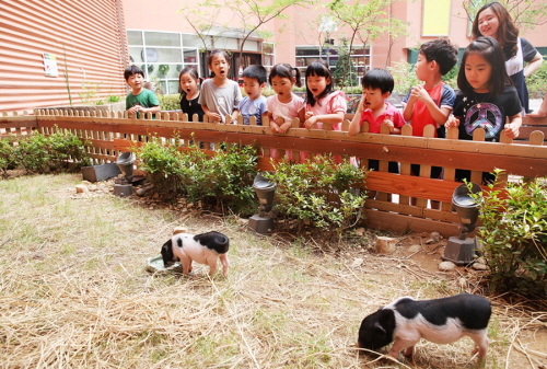 마리오아울렛은 매장 내 야외공간에 돼지 6마리와 토끼 13마리 등으로 구성된 동물농장을 열었다고 26일 밝혔다. ⓒ 마리오아울렛