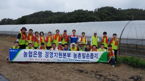  농협은행 경영지원본부가 장마철 대비 '농촌 일손 돕기' 봉사를 통해 농촌사랑을 실천하고 있다. ⓒ 농협은행