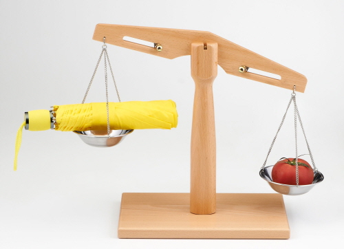 기후 변화로 아열대 지방에서 볼 수 있는 스콜성 장마, 국지성 호우 등이 잦아짐에 따라 무게를 줄인 장마용품을 찾는 이들이 늘고 있다. ⓒ 롯데마트