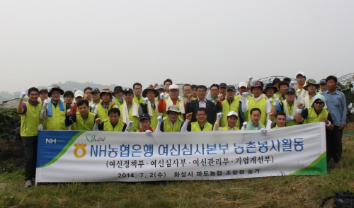  NH농협은행 여신심사본부 임직원들이 농촌 일손 돕기에 적극 동참하고 있다. 지난 2일 여신심사본부는 경기도 화성시 마도면 포도농가를 찾아 일손 돕기를 펼쳤다. ⓒ NH농협은행
