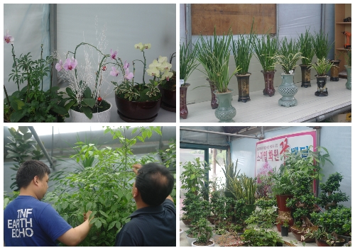  푸른 식물들로 가득한 화원 모습. 한편, 법무부는 스마일화원을 시작으로 현재 서부지검 '카페 행복마루', 중앙지검 '굽네치킨 스마일점' 등 여러 사회적기업을 운영 중이다. = 하영인 기자