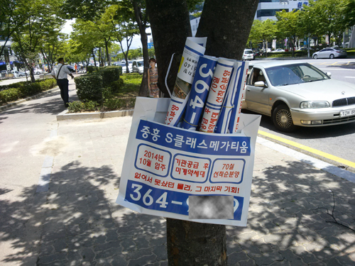  24일 광주 상무지구 한국산업은행 사거리 대로변으로 식재되어 있는 가로수마다 불법 분양광고 홍보책자가 쇼핑백에 담겨져 매달려 있다.=김성태 기자